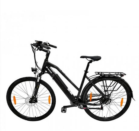 E-Bike "X9", 29 Zoll